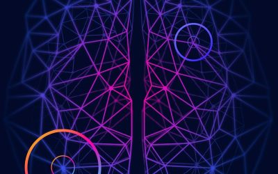 Exemple d’actualité 3